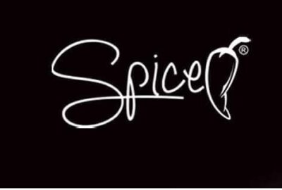 logo marca horno pizza spice